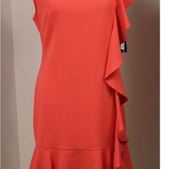 Jessica Howard Red Ruffle Mini Dress - Picture 4 of 4